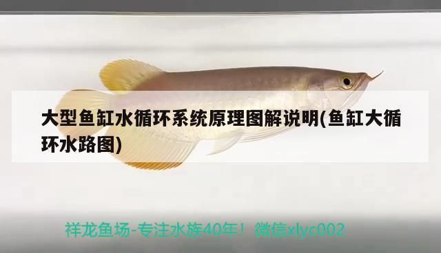 魚缸出水方式效果對比：底排式魚缸出水方式對比不同魚缸出水效果不如底排式 魚缸百科 第1張