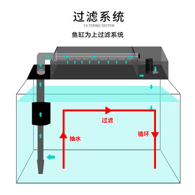 魚缸過濾系統(tǒng)自動清潔裝置：魚缸自動清潔系統(tǒng)自動清潔裝置的選購指南 魚缸百科 第5張