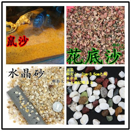 魚缸彩色陶粒和普通陶粒哪個好：如何選擇魚缸底部的材料 魚缸百科 第2張