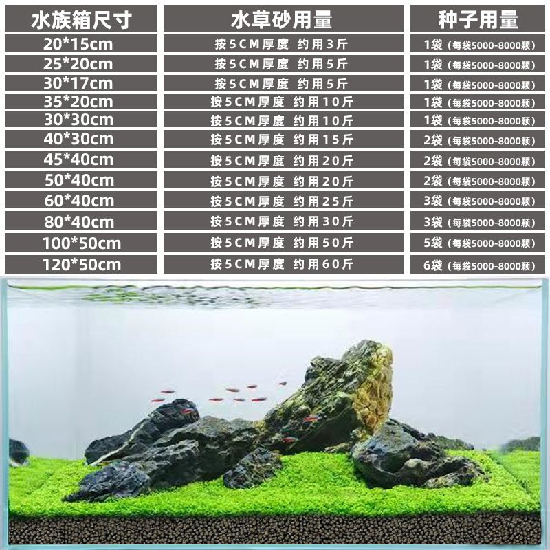 魚缸彩色陶粒和普通陶粒哪個好：如何選擇魚缸底部的材料 魚缸百科 第5張