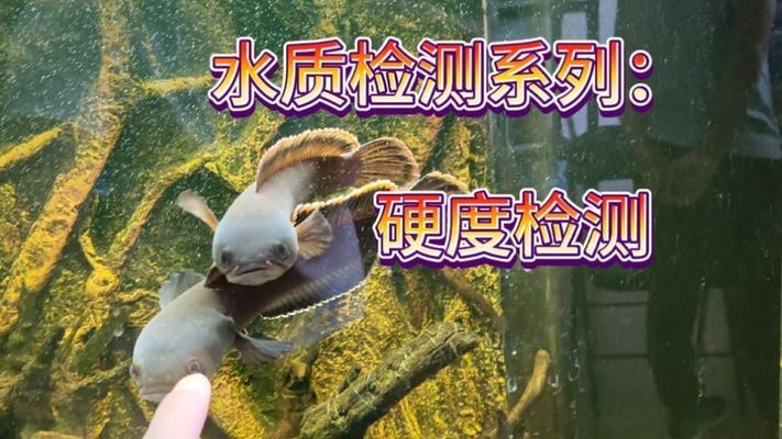 魚缸mv檢測標準最新：魚缸mv檢測標準更新與重要性 魚缸百科 第2張