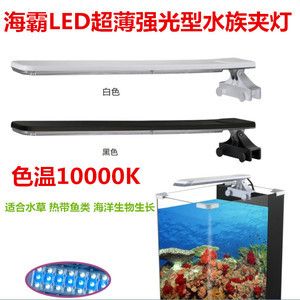 魚缸led燈怎么拆開：如何拆卸魚缸led燈 魚缸百科 第5張