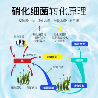 魚缸凈水劑的原理：如何自制魚缸凈水劑，魚缸過濾系統(tǒng)的優(yōu)化技巧 魚缸百科 第4張