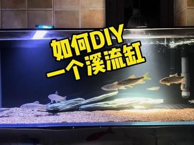 晶晶魚缸是品牌嗎：晶晶魚缸定制流程介紹 魚缸百科 第2張