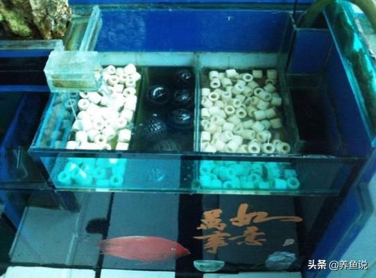 魚缸濾材怎么搭配：自制魚缸濾材品牌推薦自制魚缸濾材方法，自制魚缸濾材品牌推薦 魚缸百科 第1張