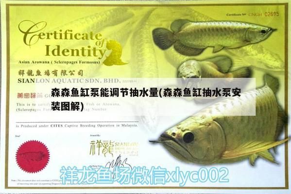 森森魚缸水泵水流怎么調：森森魚缸水泵調節(jié)技巧 魚缸百科 第2張