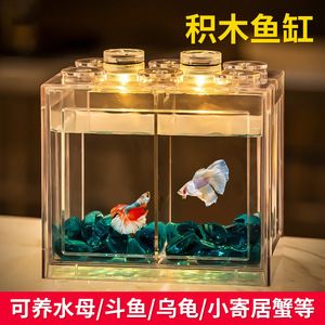 魚(yú)缸ins：魚(yú)缸ins風(fēng)格介紹 魚(yú)缸百科 第2張