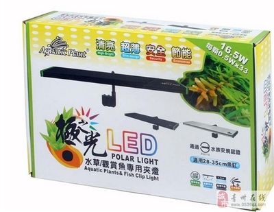 魚缸LED燈品牌推薦：探索魚缸led燈品牌推薦 魚缸百科 第4張