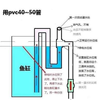 魚缸水泵的位置示意圖：魚缸水泵位置示意圖詳情魚缸水泵維護(hù)周期及方法 魚缸百科 第5張