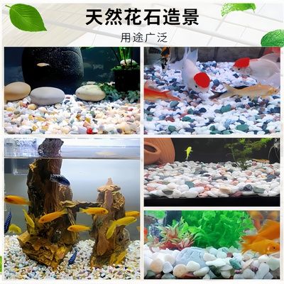 魚缸彩石圖片高清：魚缸彩石搭配水草效果圖 魚缸百科 第2張