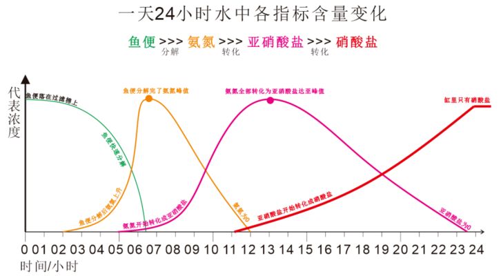 新魚缸水質(zhì)檢測(cè)關(guān)鍵指標(biāo)：新魚缸水質(zhì)檢測(cè)是否適合新魚缸中生物的生存需求 魚缸百科 第5張