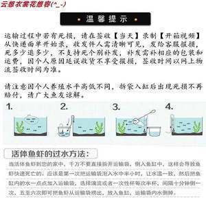 龍魚運輸能堅持多久：龍魚在運輸過程中的存活時間受到多種因素影響