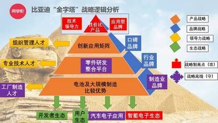 金龍魚風波現在處理的怎么樣：金龍魚風波的調查進展如何？ 水族問答 第1張