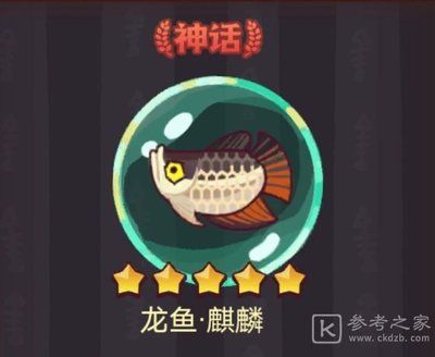 龍魚之家論壇：龍魚之家論壇新手指南 龍魚百科 第2張