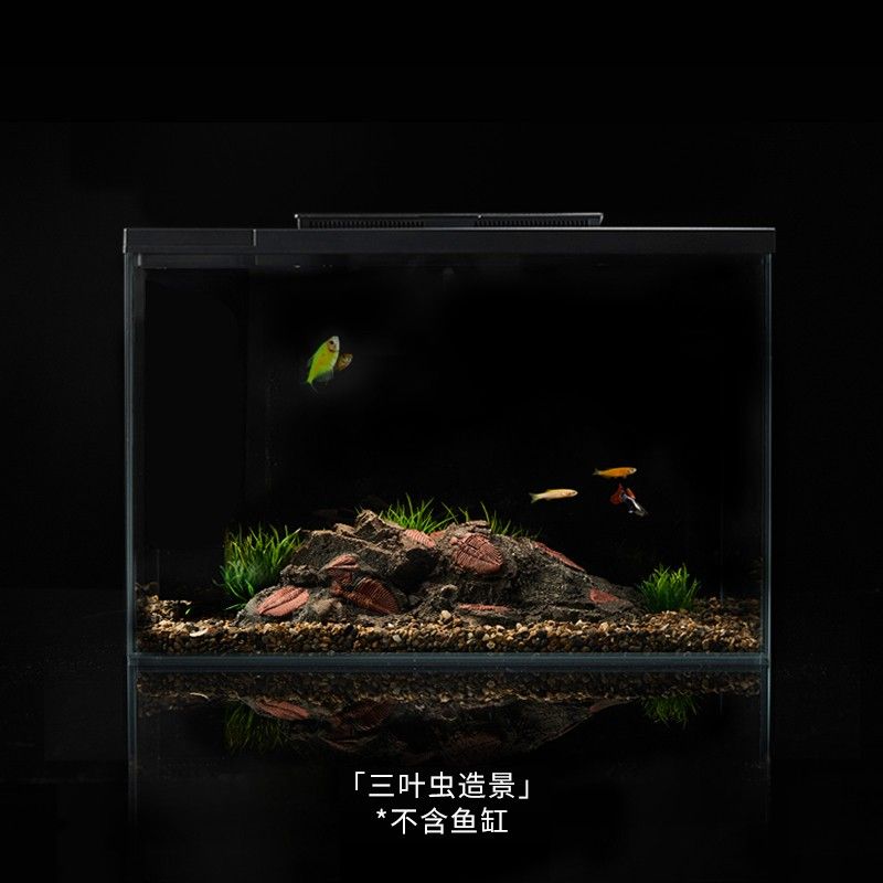 起源紀魚缸的問題：起源紀智能魚缸 魚缸百科 第4張