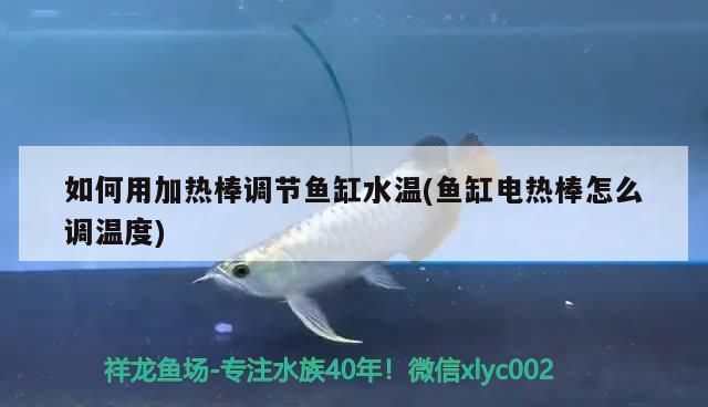 如何調(diào)節(jié)魚缸水溫至適宜范圍：調(diào)節(jié)魚缸水溫至適宜范圍是確保水生動物健康生長和維持關(guān)鍵 魚缸百科 第5張