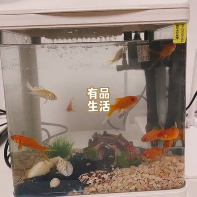 意牌的魚缸質(zhì)量可以嗎？：意牌魚缸售后服務(wù)改善措施意牌魚缸與其他品牌對比 魚缸百科 第5張