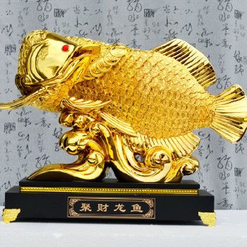 龍魚為什么做手術(shù)不能吃：龍魚手術(shù)后不能吃什么？ 龍魚百科 第2張