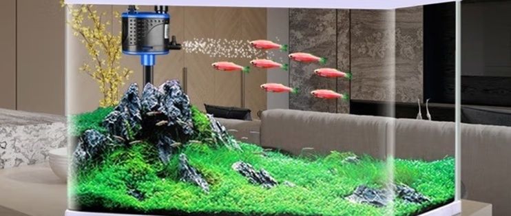 新寵之康魚缸：“新寵之康魚缸”的寵物水族館，美觀又實(shí)用的養(yǎng)魚空間 魚缸百科 第4張