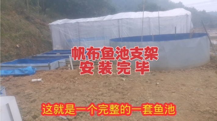 歐式魚缸底部架子安裝視頻教程圖解：如何正確安裝歐式魚缸底部架子安裝視頻教程圖解詳情 魚缸百科 第1張