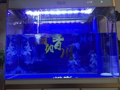 漢霸魚缸和德克魚缸哪個(gè)好：漢霸魚缸和德克魚缸對(duì)比分析