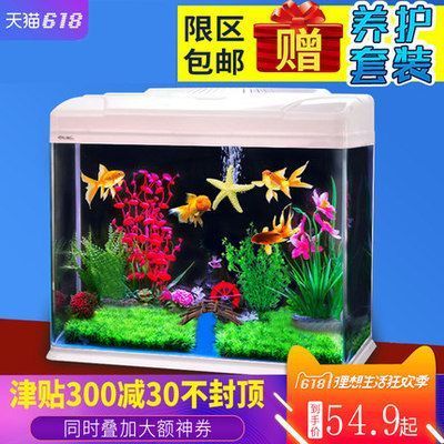 龍魚缸推薦：龍魚缸尺寸推薦 魚缸百科 第4張