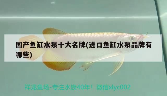 魚(yú)缸水泵品牌推薦：松寶品牌用戶評(píng)價(jià)魚(yú)缸水泵品牌森森水泵耐用性評(píng)測(cè) 魚(yú)缸百科 第3張