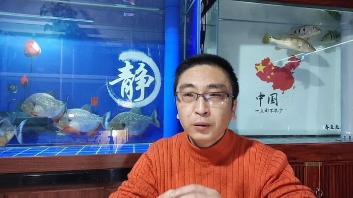 回復魚都扎堆在魚缸的一角,什么情況？：魚在魚缸一角扎堆可能由多種因素引起，魚缸驚嚇后如何安撫 魚缸百科 第1張