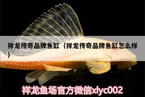 祥龍電器魚缸價格表：祥龍電器魚缸價格信息整理祥龍電器魚缸價格表 魚缸百科 第3張