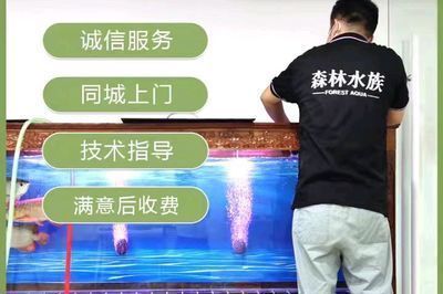 祥龍電器魚缸價格表：祥龍電器魚缸價格信息整理祥龍電器魚缸價格表 魚缸百科 第4張