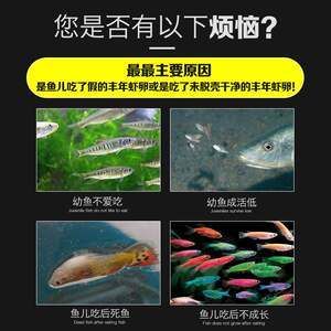 銀版魚(yú)幼魚(yú)飼料喂養(yǎng)技巧：銀龍魚(yú)幼魚(yú)飼料營(yíng)養(yǎng)搭配指南 龍魚(yú)百科 第4張