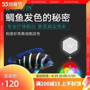 魚缸燈有助于魚發(fā)色嗎：如何調(diào)節(jié)魚缸燈光色溫，魚缸照明對水質(zhì)有何影響 魚缸百科 第5張