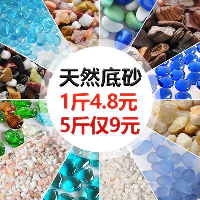 藍鉆魚缸與一號魚缸對比：藍鉆魚缸與一號魚缸的區(qū)別