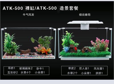 魚缸產品：未來魚缸產品的發(fā)展趨勢和技術革新方向