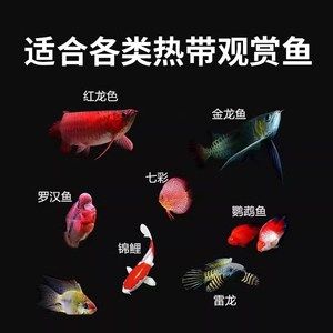 龍魚增艷燈和發(fā)色燈的區(qū)別在哪：增艷燈和發(fā)色燈的搭配技巧， 龍魚百科 第2張