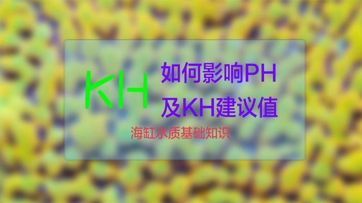 海水魚缸kh多少：海水魚缸kh值與ph值調(diào)節(jié)技巧,海水魚缸kh值測(cè)試方法 魚缸百科 第2張