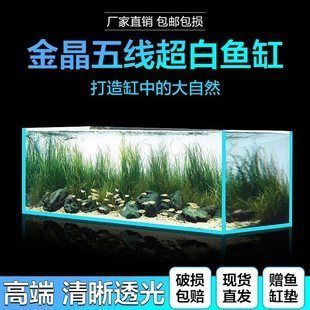 金晶超白魚缸：金晶超白魚缸價(jià)格對(duì)比