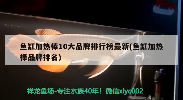 魚(yú)缸加熱棒十大品牌排名：2024年魚(yú)缸加熱棒十大品牌