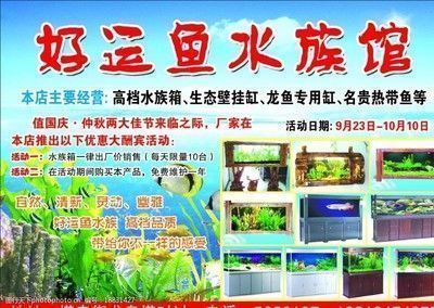 品牌龍魚缸：新興品牌魚缸品牌有哪些 魚缸百科 第5張