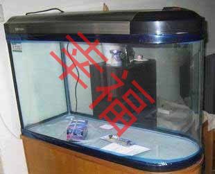 閩江魚缸廠家直銷店：福州閩江魚缸廠家直銷店 魚缸百科 第2張