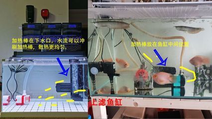 魚缸加熱器怎么調(diào)溫度：魚缸加熱器的設(shè)置 魚缸百科 第5張