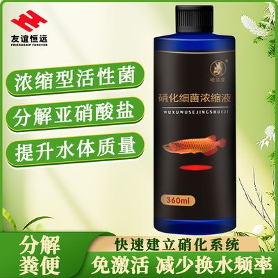 哈潔寶魚樂寶在魚缸里的作用：哈潔寶在魚缸中的作用和使用注意事項(xiàng) 魚缸百科 第3張