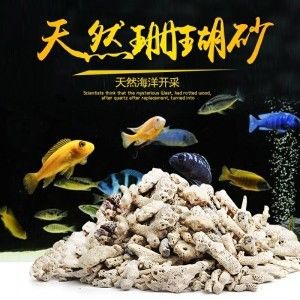 魚缸里的珊瑚石：珊瑚石在魚缸中的應(yīng)用 魚缸百科 第5張