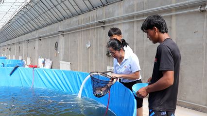 新寵之康魚缸養(yǎng)什么魚比較好：新寵之康魚缸養(yǎng)什么魚好 魚缸百科 第4張