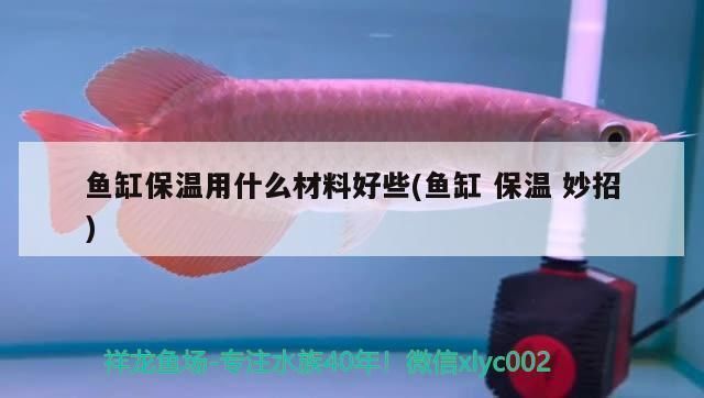 魚缸隔熱材料的美觀裝飾方案：實用又美觀的魚缸隔熱材料及其裝飾方案