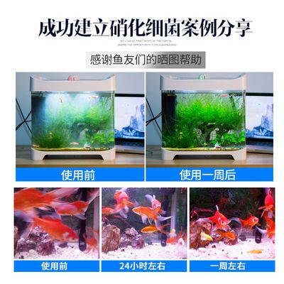 海豚魚缸：海豚魚缸價格范圍，海豚魚缸設(shè)計風(fēng)格 魚缸百科 第4張