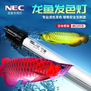 魚(yú)缸NEC燈管正確擺方圖片：魚(yú)缸nec燈管正確擺方圖片詳情 魚(yú)缸百科 第3張