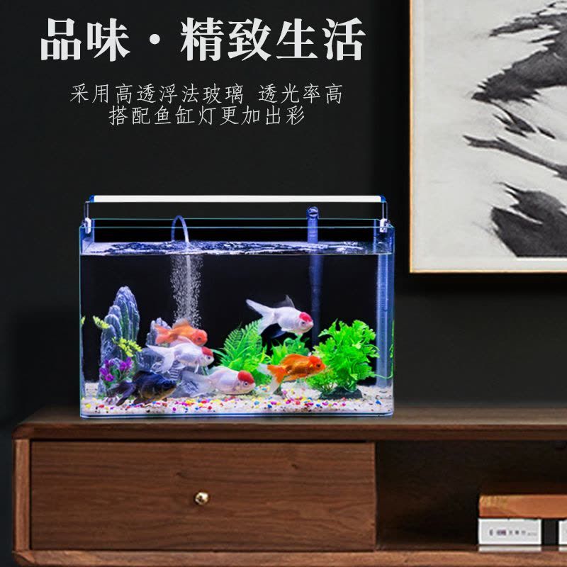 魚缸裝飾品的搭配技巧：如何搭配魚缸裝飾品？ 魚缸百科 第3張