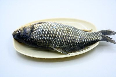 龍魚怎么煮好吃又營養(yǎng)：番茄龍魚的營養(yǎng)保留技巧，香煎黑椒龍魚的健康益處 龍魚百科 第5張