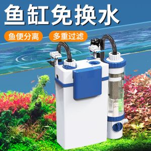 魚缸過濾器拼裝：魚缸過濾器安裝方法 魚缸百科 第1張